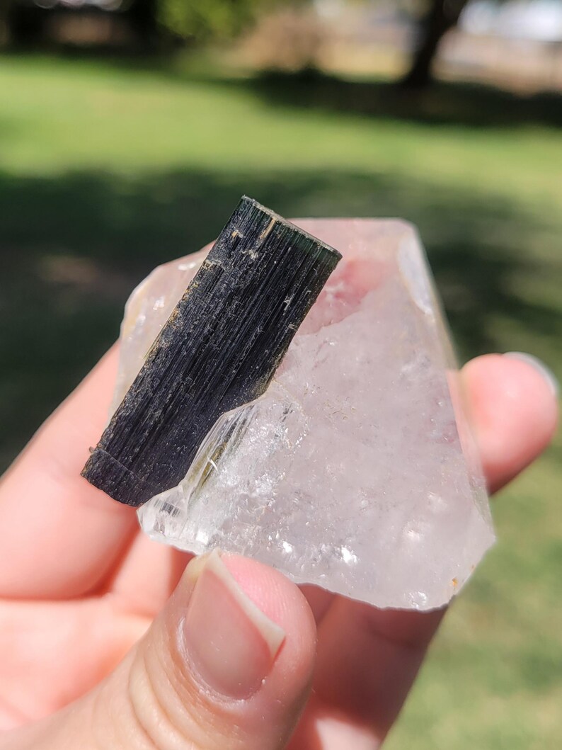 May include: A dark green tourmaline crystal is embedded in a clear quartz crystal. The tourmaline is a long, rectangular shape with a textured surface. The quartz is a clear, irregular shape.