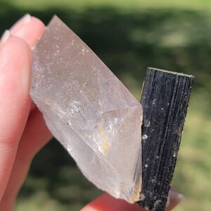 May include: A clear quartz crystal with a black tourmaline crystal attached. The quartz is translucent with some yellow and brown inclusions. The tourmaline is a dark, opaque black. The crystals are held in a hand against a blurred green background.