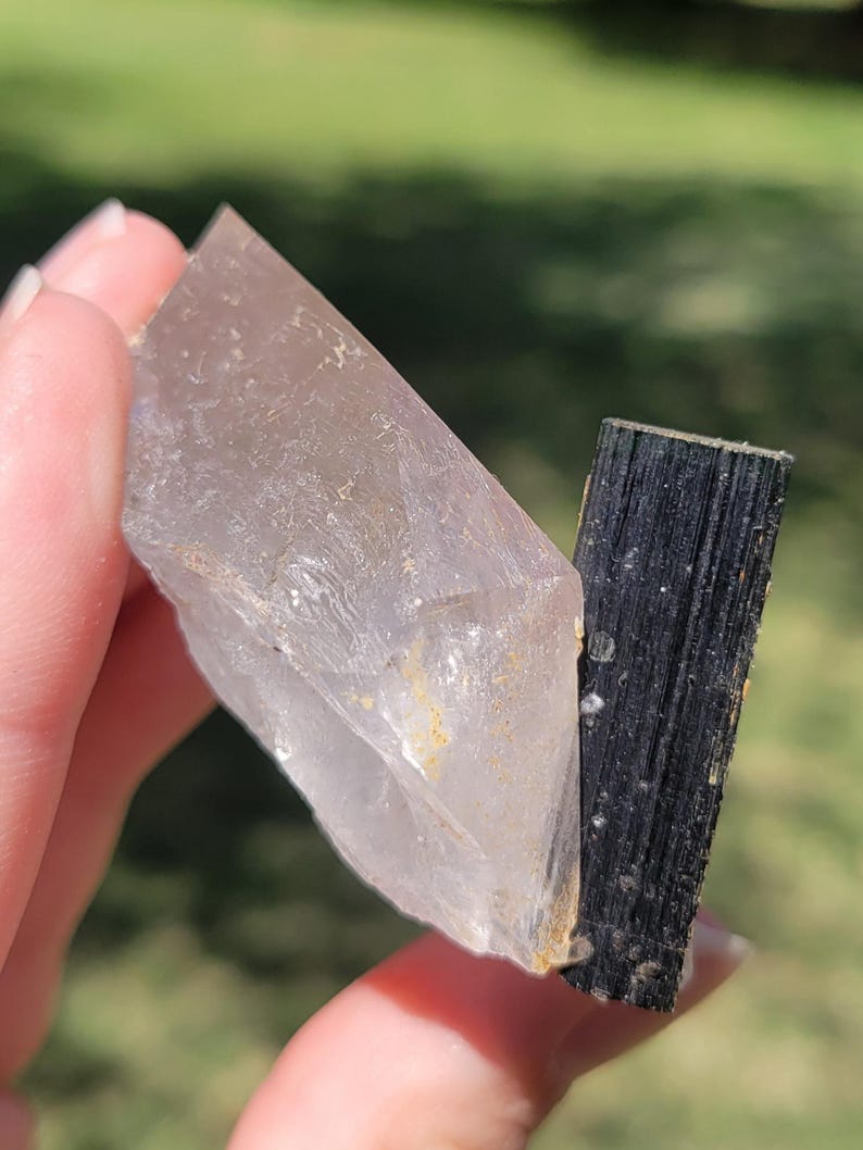 May include: A clear quartz crystal with a black tourmaline crystal attached. The quartz is translucent with some yellow and brown inclusions. The tourmaline is a dark, opaque black. The crystals are held in a hand against a blurred green background.
