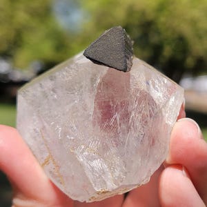 May include: A clear quartz crystal with a dark gray triangular mineral formation on top. The quartz has a hexagonal shape and visible internal structures. The background is blurred green.