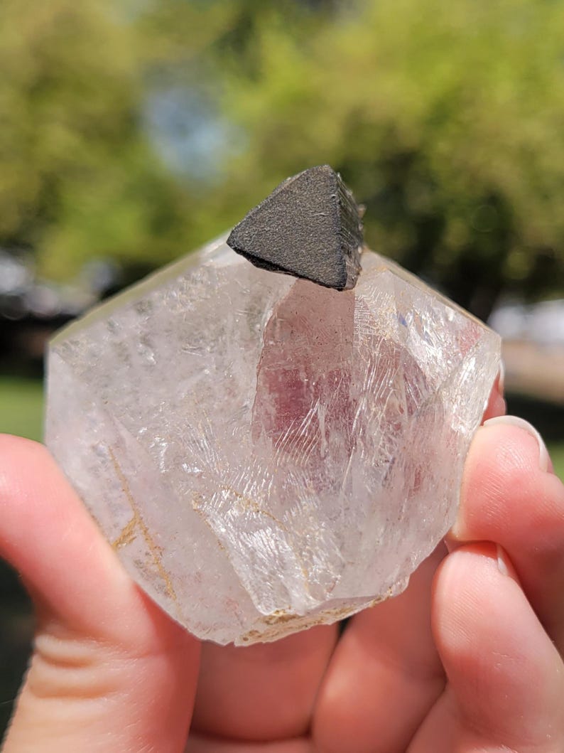 May include: A clear quartz crystal with a dark gray triangular mineral formation on top. The quartz has a hexagonal shape and visible internal structures. The background is blurred green.