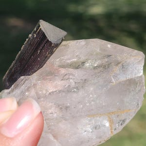 May include: A clear quartz crystal with a dark, rectangular tourmaline crystal attached. The tourmaline is a dark brown color with a triangular top. The quartz has a translucent appearance and is held by a person.