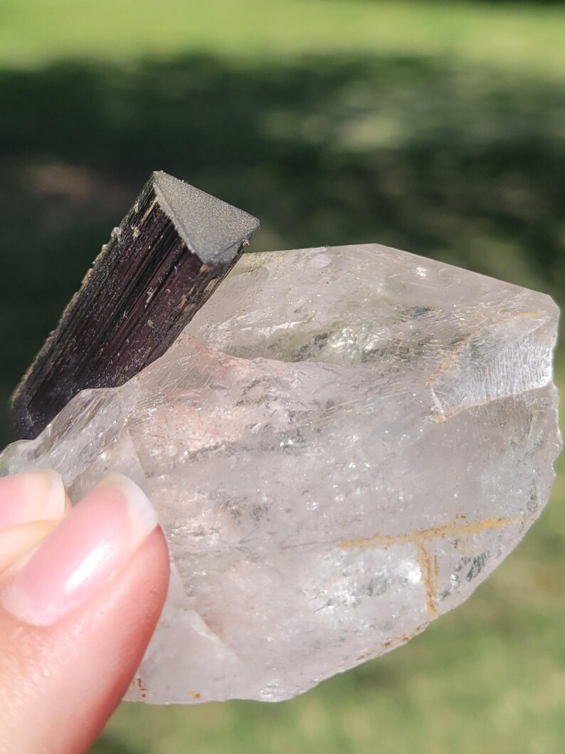 May include: A clear quartz crystal with a dark, rectangular tourmaline crystal attached. The tourmaline is a dark brown color with a triangular top. The quartz has a translucent appearance and is held by a person.