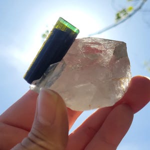 May include: A hand holds a clear quartz crystal with a dark blue and green tourmaline crystal. The tourmaline is a dark blue-green color with a green tip. The quartz crystal is a light, translucent color. The background is a bright blue sky.