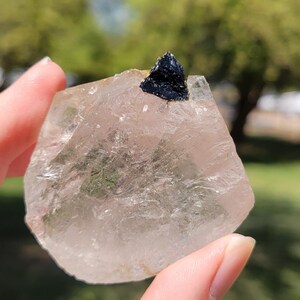 May include: A clear, rough-cut quartz crystal with a small, dark black mineral inclusion. The crystal is held up against a blurred green background, showcasing its natural, raw form. The quartz has a slightly pinkish hue.