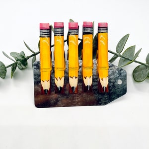 5 hand painted resin magnetic clothes pins