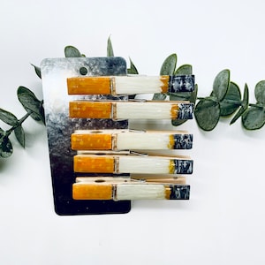 5 resin cigarette magnetic clothes pins