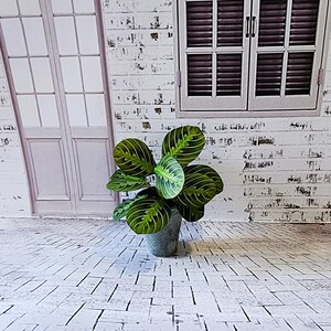 Miniature paper Maranta plant handcrafted dollhouse 1/12 scale