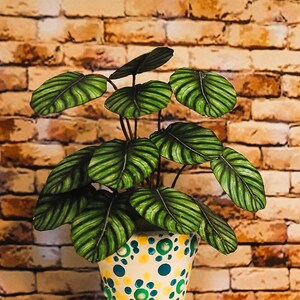 Miniature paper Calathea plant in hand painted pot handcrafted dollhouse 1/12 scale