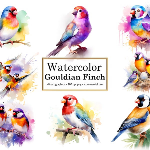 Gouldian Finch Watercolor Clipart: Colorful Birds, Reds Birds, Greens Birds, Yellows Birds, Watercolor Feathers, Digital PNG Files for Art