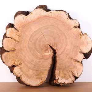 Very unique Cherry Wood slice