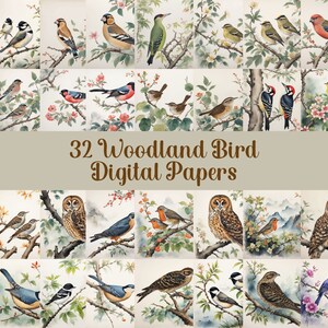 32 grillige aquarel vogels clipart lente vogel en bloemen digitaal papier clipart pack bloemen vogel illustratie afdrukbare merel roodborstje