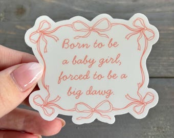 Babygirl Big Dawg-vinylsticker, grappige laptopsticker