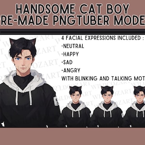 Handsome Cat boy PNGTUBER, ready to use pngtuber, 4 expressions, neutral, angry, sad, happy, black hair anime boy, twitch livestream, vtuber