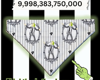 BEETLEJUICE Pet Bandana-Reversible & Slip on(collar);BEETLEJUICE Halloween;GlowInDark;Two Sided Dog/Cat Kerchief;Pop Culture 2 sided Bandana