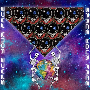 SPACE YOUR FACE Grateful Dead Pet Bandana-Reversible & Slip on to collar; Deadhead Two Sided Dog/Cat Kerchief; Pop Culture 2 sided Bandana