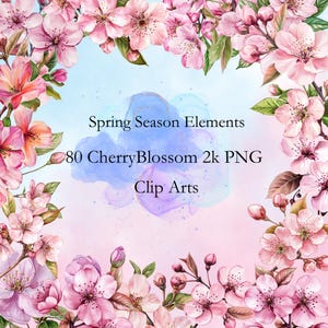 Bundel met kersenbloesembloemen illustraties - 80 2k png-bestanden, aquarel voor T-shirts, hoodies, wenskaarten, bruiloften, huwelijken en meer