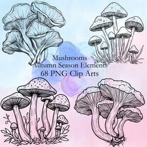 Pilz,Pilz,Clipart Bundle,Herbst,Ahorn,Schwarz single Line Art -68 PNG 2k Res, Kollektion für T-shirts, Hoodies, Sweatshirts & Tassen