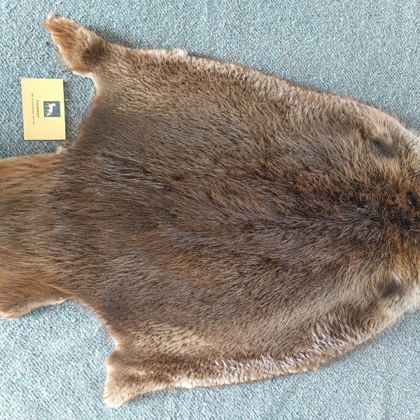 Beaver skin