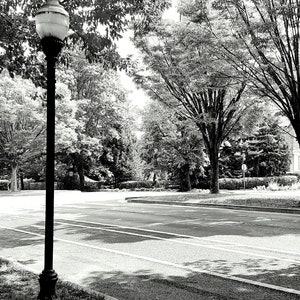 Urban Vistas - Vintage