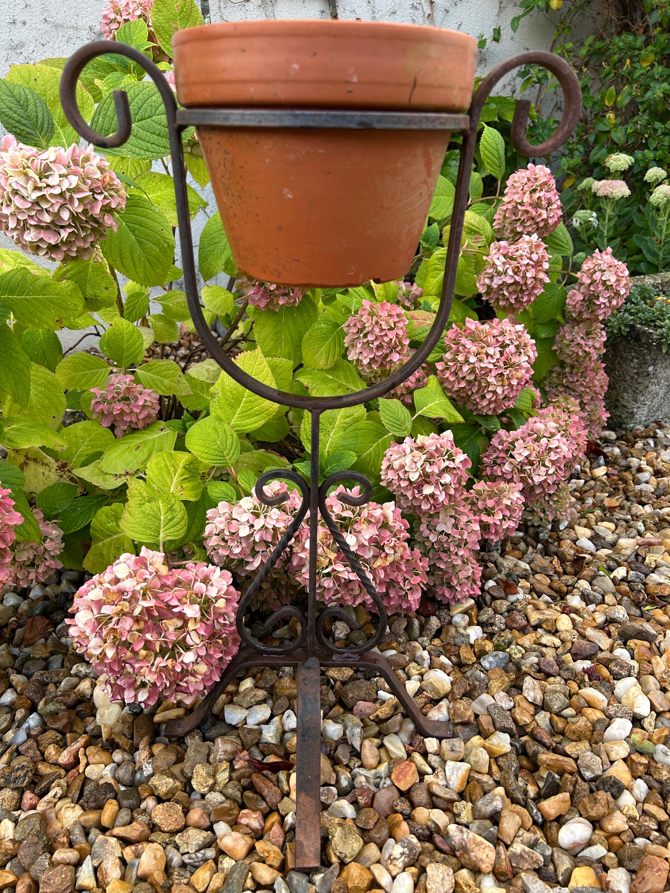 Sally Planter - Etsy Singapore