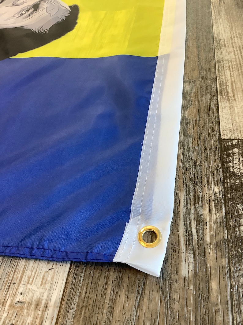 May include: Close-up of a blue and yellow flag with a white border and a brass grommet. The flag is made of fabric and has a stitched seam.