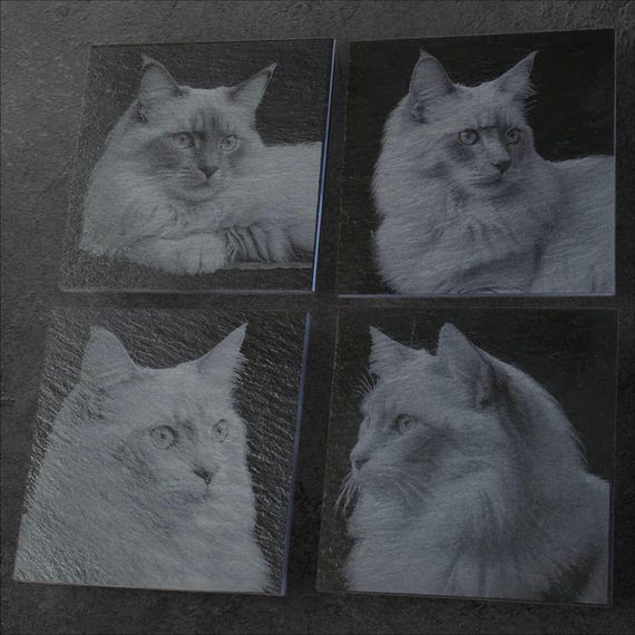 Ragdoll Cat Breed Lasered Slate Coasters. Lovely Ragdoll Cat Gifts