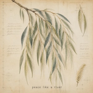 May include: A botanical illustration of a willow branch with long, slender green leaves on a beige background featuring grid lines, technical markings, handwritten cursive script, a small separate leaf pair, a catkin, and the text peace like a river.