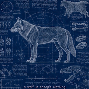 Wolf in Sheep's Clothing Ceramic Tile | Grey Wolf Naturalist Art | Matthew 7:15 Christian Gift