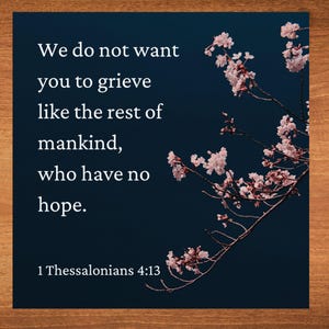 May include: A blue background with a quote from 1 Thessalonians 4:13, "We do not want you to grieve like the rest of mankind, who have no hope."  Pink cherry blossoms are in the upper right corner of the image.