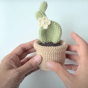 Cactus Plant Crochet Pattern - Digital PDF English - US Terms - DIY