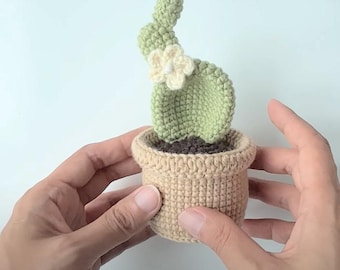 Cactus Plant Crochet Pattern - Digital PDF English - US Terms - DIY