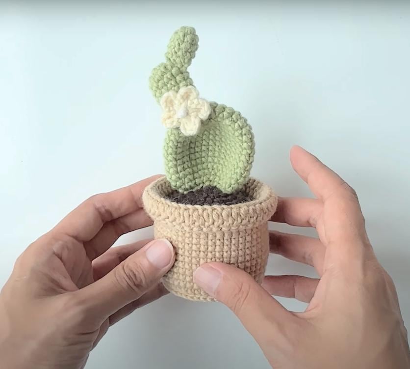 30 Plant Crochet Patterns to Brighten Home Decor and Gift Giving 25 Cactus Plant Crochet Pattern