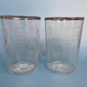 May include: Two clear drinking glasses with silver rims. Each glass features an etched grape design. The glasses are cylindrical with a slightly curved base. The background is a solid light blue.