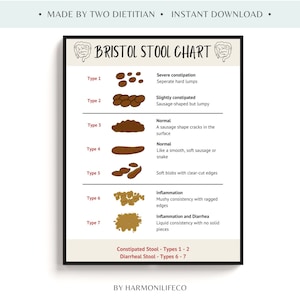 The Bristol Stool Chart: A Visual Guide to Digestive Health, Healthy ...