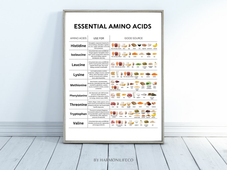 Maximize Your Performance: the Essential Amino Acids Chart, Amino Acids ...