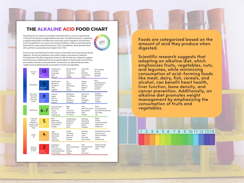 The Alkaline Acid Food Chart Poster Shopping List For Alkaline Diet Achieving pH Balance Mastering the Alkaline Acid Food Spectrum image 2