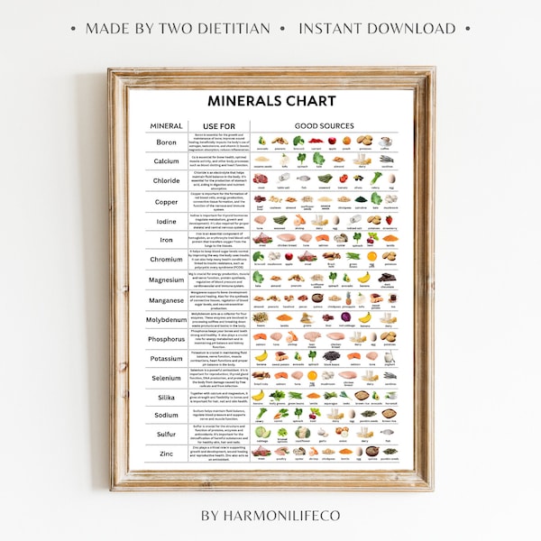 Tableau complet des minéraux Référence pour une alimentation saine Tableau des nutriments essentiels Poster des nutriments Poster numérique de la nutrition Tableau des sources de minéraux