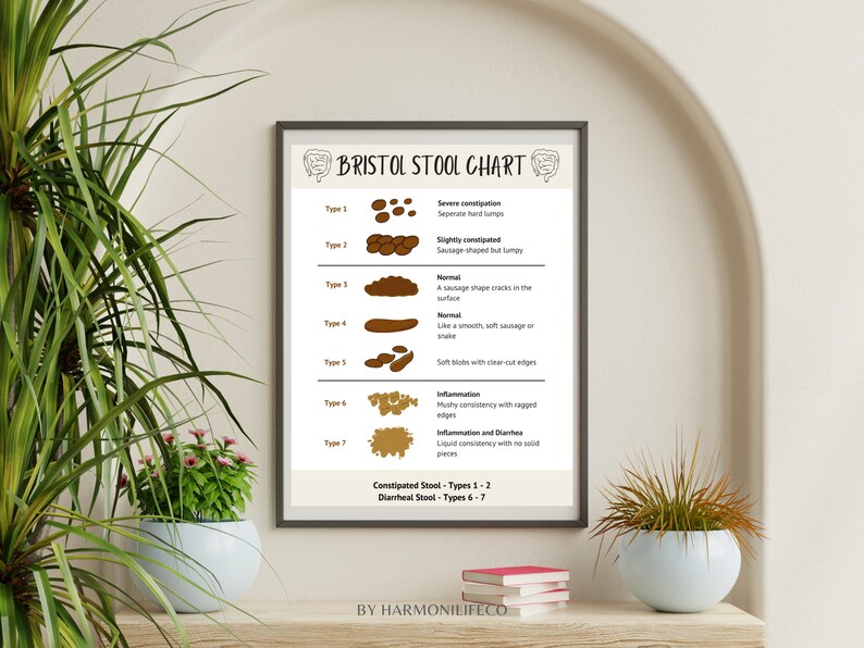 The Bristol Stool Chart A Visual Guide to Digestive Health, Healthy