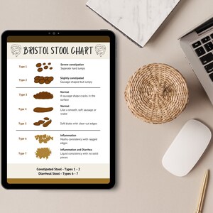 The Bristol Stool Chart: A Visual Guide to Digestive Health, Healthy ...