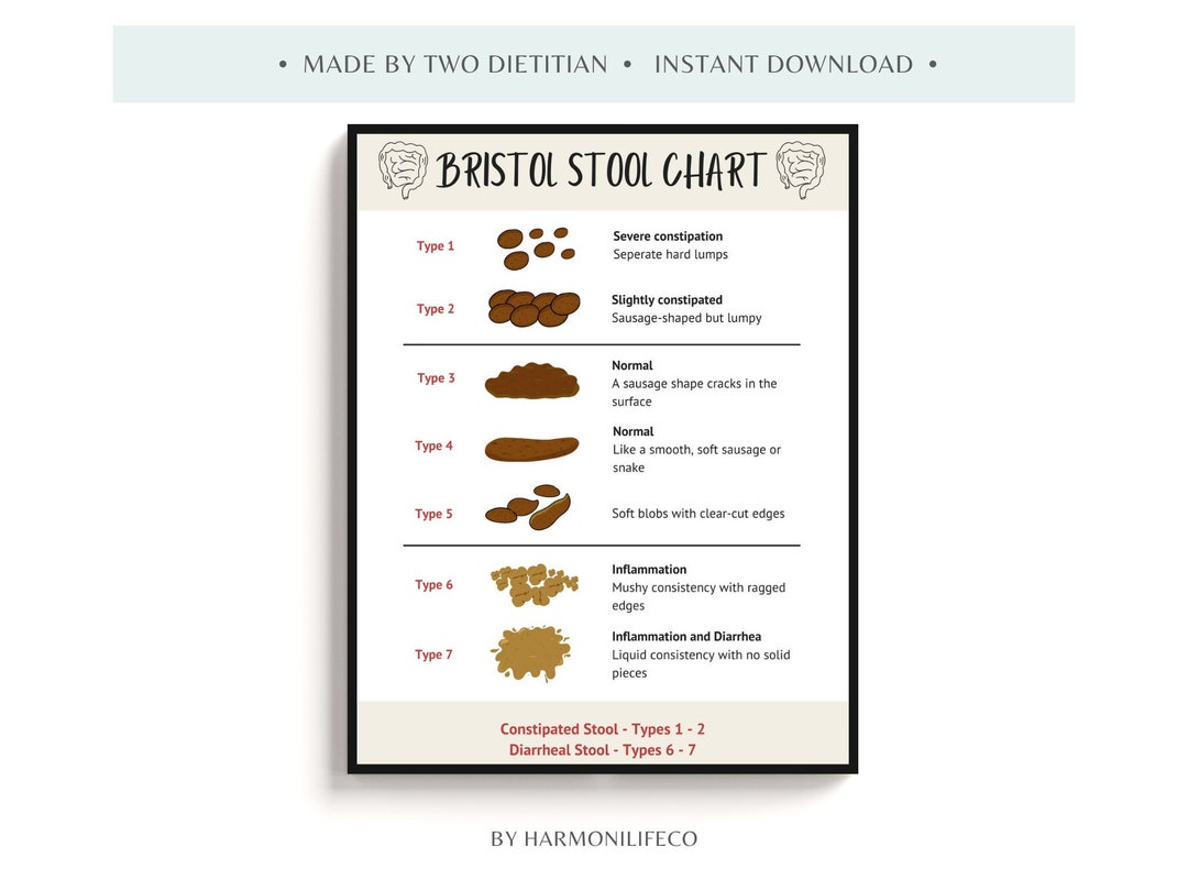 Le tableau des selles de Bristol : Un guide visuel sur la - Etsy France