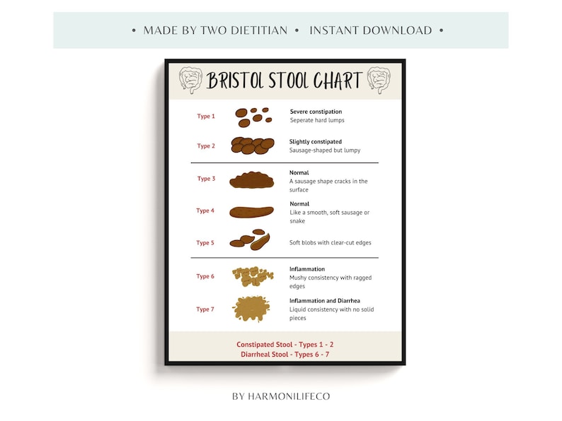 The Bristol Stool Chart: A Visual Guide to Digestive Health, Healthy