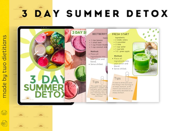 3 Day Summer Detox, Weight Loss Guide, Detox Recipes, Meal Plan, Water  Tracker, Challenge for Summer, Digital Download, Printable Diet Plan 