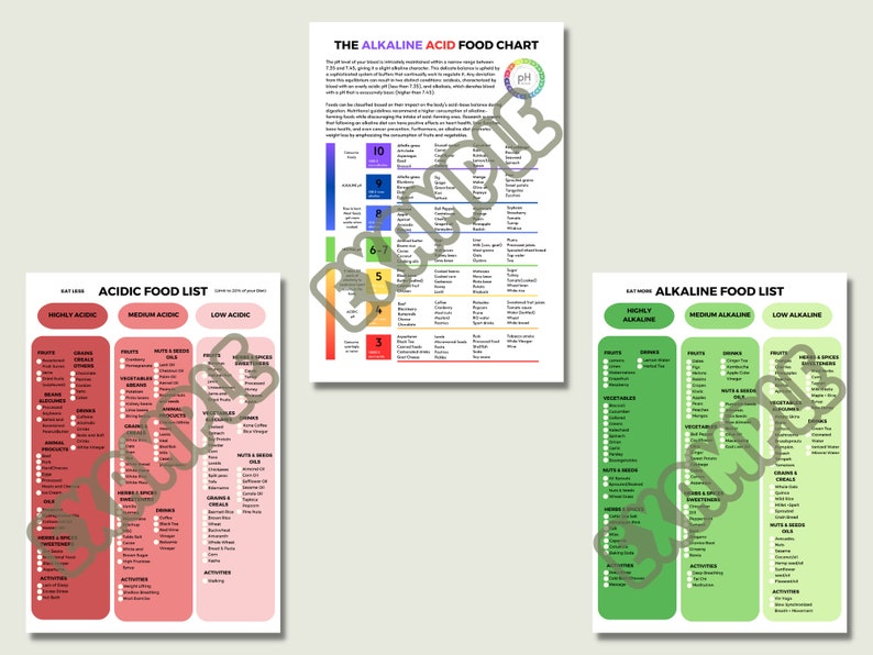 The Alkaline Acid Food Chart Poster Shopping List For Alkaline Diet Achieving pH Balance Mastering the Alkaline Acid Food Spectrum image 4