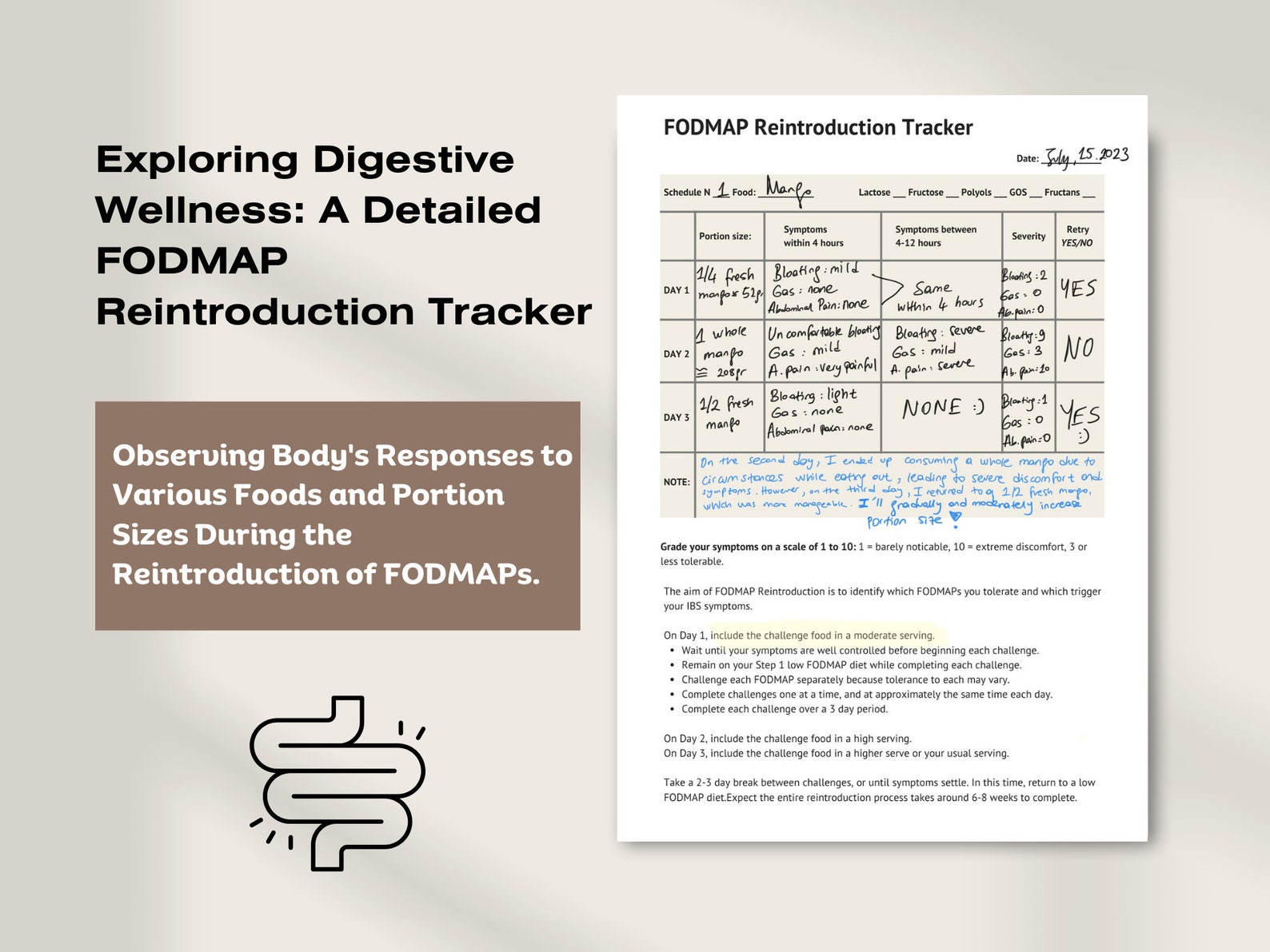 IBS Symptom Tracker, Digestive Diary, Wellness Through IBS Tracking ...