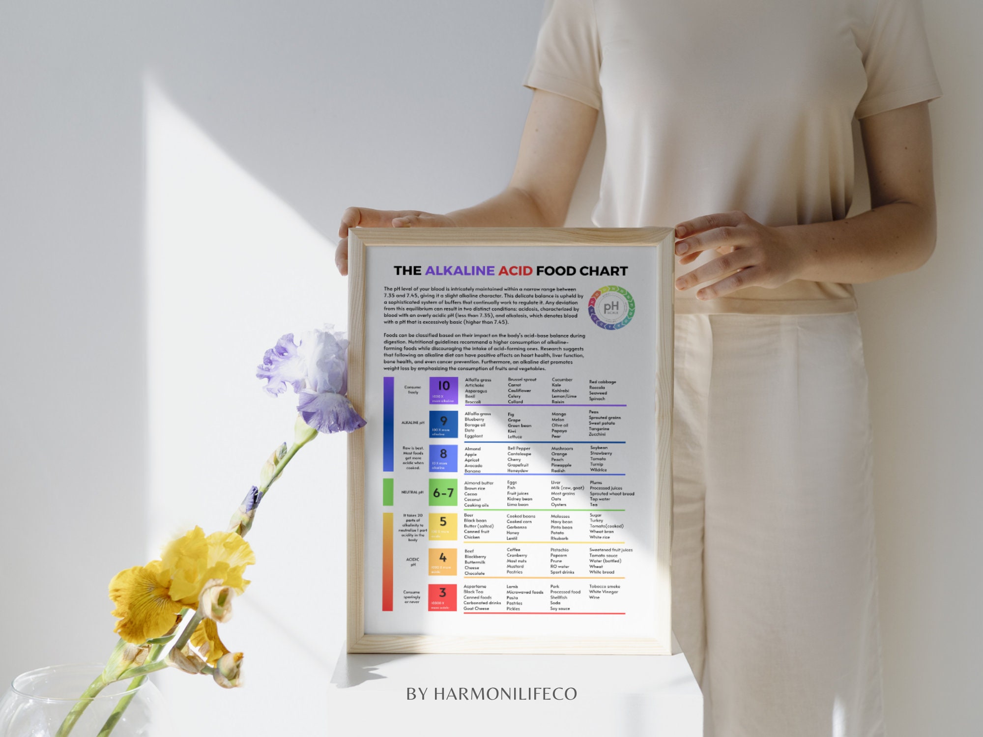 The Alkaline Acid Food Chart Poster Shopping List for Alkaline Diet