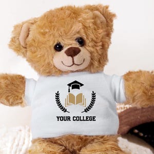 School Logo Teddy Bear, Custom Graduation Gift, Alumni Keepsake