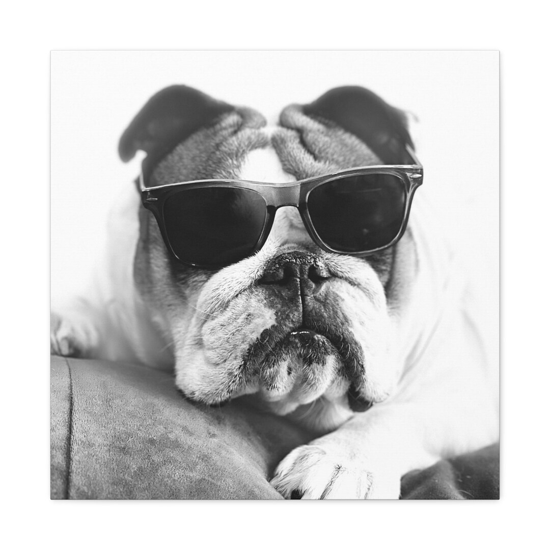 English Bulldog Canvas Black and White