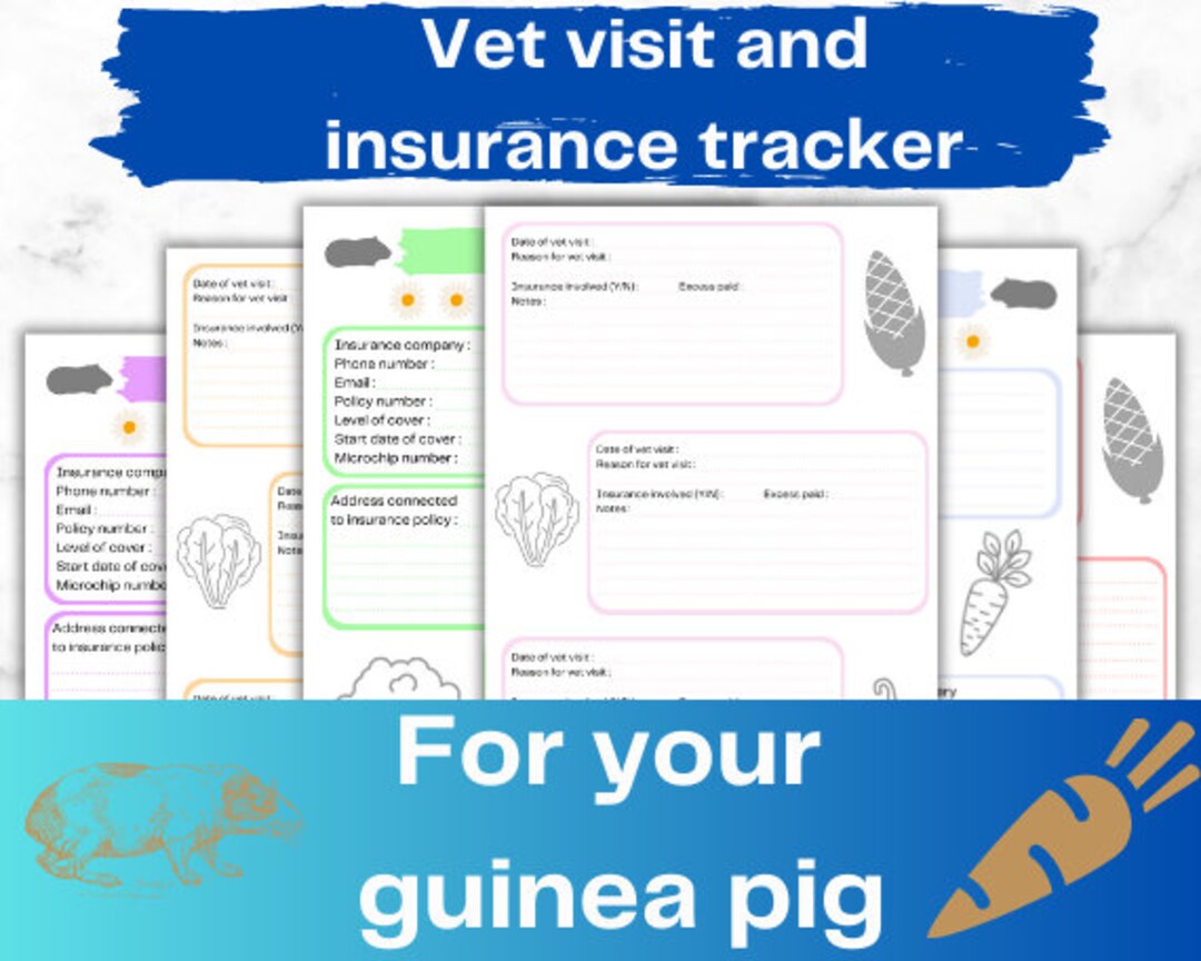 Picture of Colour Guinea Pig Vet Visit Tracker, Rodent Vaccination Log, Insurance ...