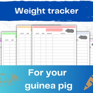 Gewichtsmeter voor cavia's | Gezondheidslogboek | A4-pdf-download | Groeirecord knaagdieren | Verwisseltabel huisdier | Kweeklijst | Kleurenbundel: